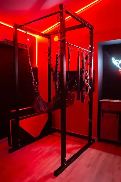 Le boudoir des jouissances perverses, photo 3