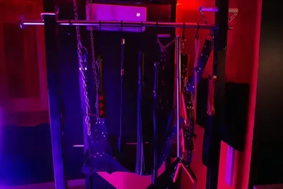 Le boudoir des jouissances perverses, photo 5