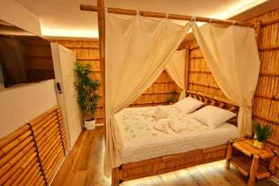JUNGLE SPA, love room à Muntzenheim