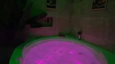 Suite Jungle Spa•Sauna & Balnéo, photo 2
