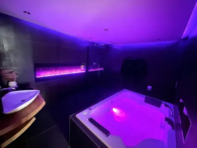 Maison Le Nid des Cigognes balnéothérapie pour 2, love room à Oberbronn