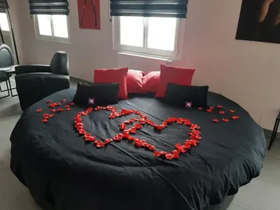 Ds Plaisir Love Room avec sauna, jacuzzi à Nancy, photo 3
