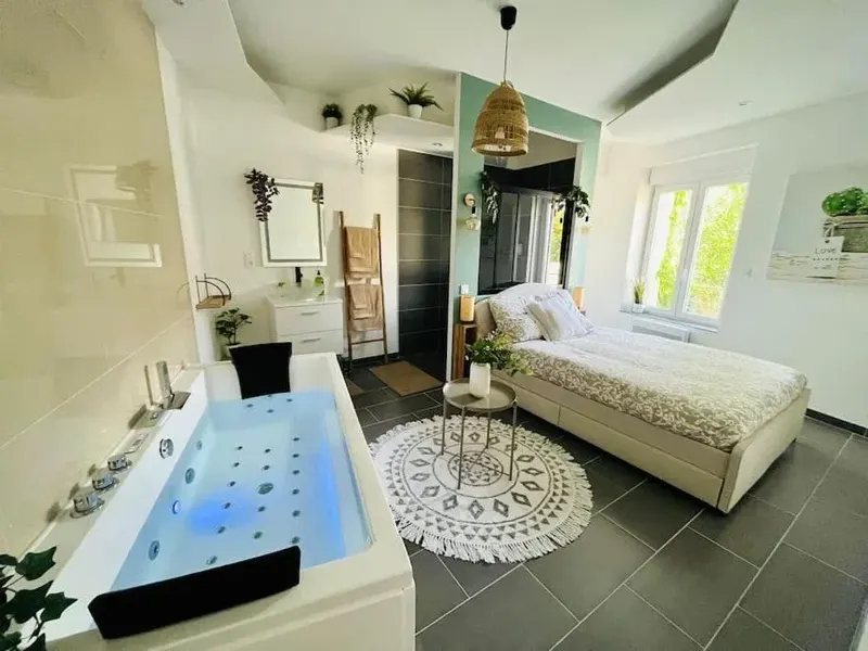 Appartement glamour tout équipé avec balnéo et sauna, love room à Nancy