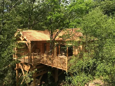 Cabane de l'écureuil - Cabanes du Hérisson, cabanes perchées de standing avec spa, love room à Bonlieu