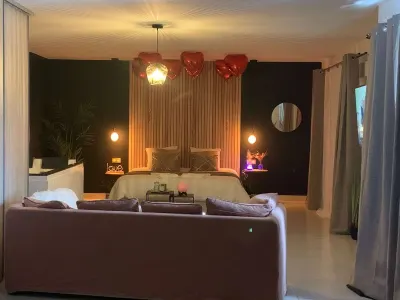 Appart et Spa Lyon - Cosy Spa, photo 3