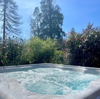 Gîte écolodge avec jacuzzi, photo 3