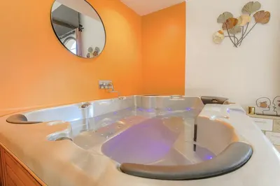 Expérience Abricotine - Jacuzzi-Terrasse, photo 3