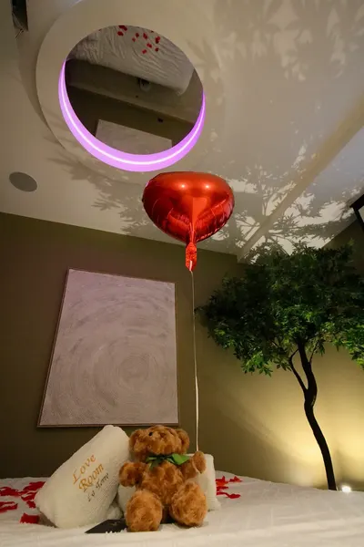 Love Room La Terre, photo 5