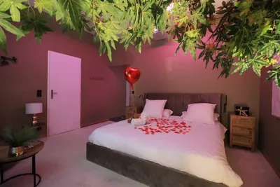 Love Room La Terre, photo 2