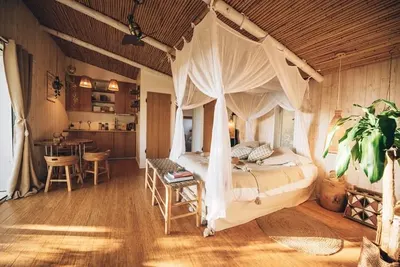 Pella Roca - Tropicabana, photo 2