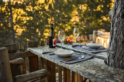Cabane dans les arbres avec jacuzzi privatif - Épine Vinette, photo 5