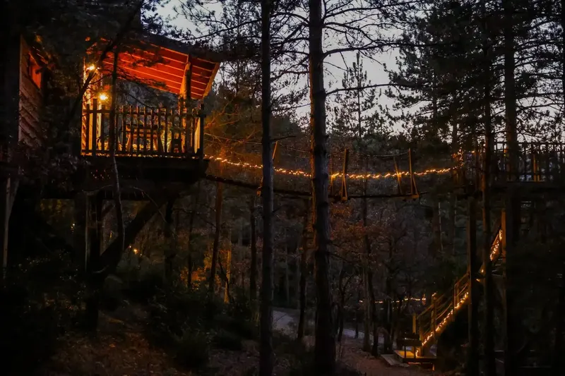 Cabane dans les arbres avec jacuzzi privatif - Épine Vinette, photo 7