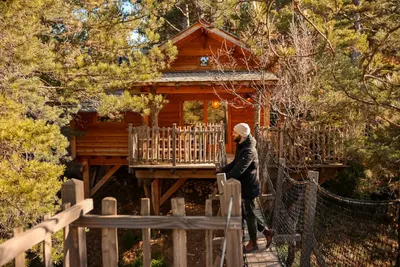 Cabane dans les arbres avec jacuzzi privatif - Épine Vinette, photo 4