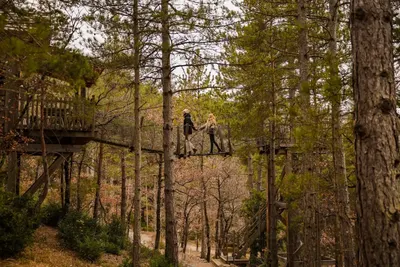 Cabane dans les arbres avec jacuzzi privatif - Épine Vinette, photo 2