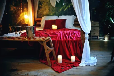 L'Evasion romantique en Amazonie, SPA, 5 min centre ville, Écran cinéma, day use, Lit baldaquin, love room à Évreux