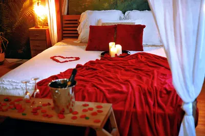 L'Evasion romantique en Amazonie, SPA, 5 min centre ville, Écran cinéma, day use, Lit baldaquin, photo 5