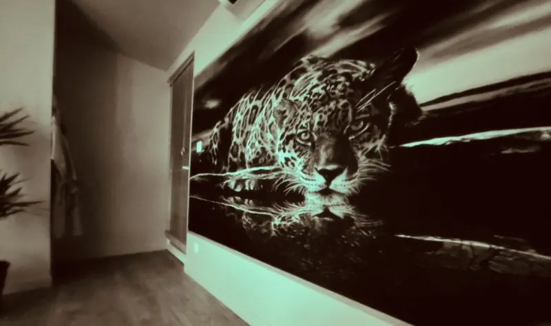 Le Maquis Rooms, photo 6