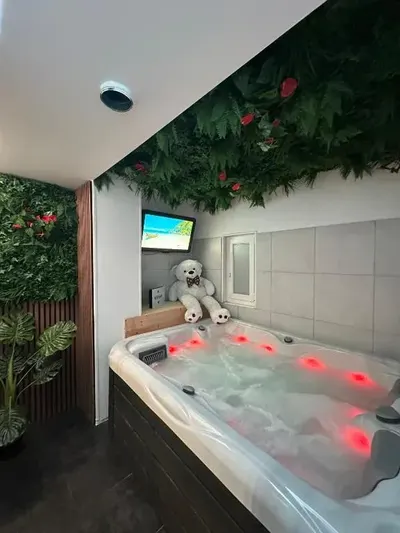 Évasion Spa Jacuzzi Sauna, love room à Eckbolsheim
