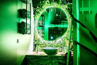 L'Eden Tropical, photo 5
