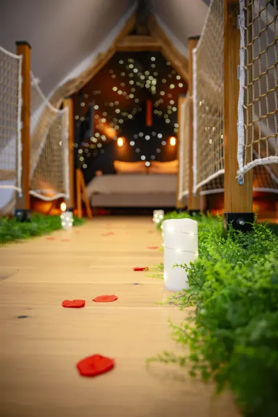 Love room l'amazone - L'écrin d'azurite, photo 4