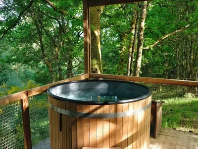 Nutchel Cosy Cabins - Classique avec bain nordique, photo 3