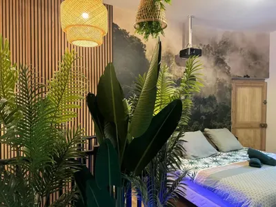 L'Oasis Angevine - Balnéo, Sauna, Home Cinéma et Parking, photo 2