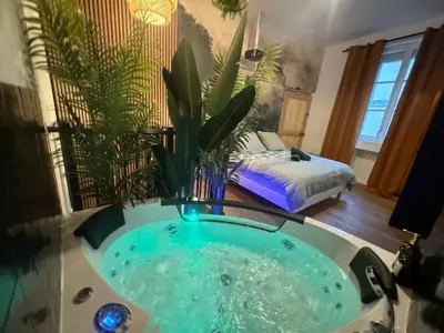 L'Oasis Angevine - Balnéo, Sauna, Home Cinéma et Parking, love room à Angers