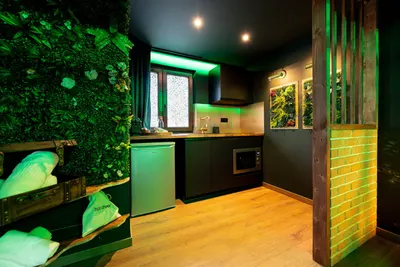 La Forêt Enchantée - Love Room à thème - Jacuzzi, photo 4