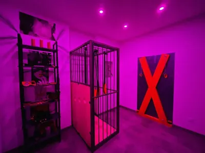 Maison de Monplaisir - Love Room Lyon, photo 5