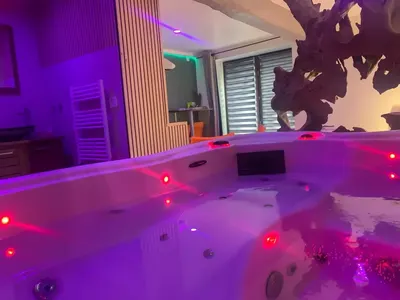 DOMAINE DE LA BESNERIE - La Suit’Moonlight, love room à Tanis