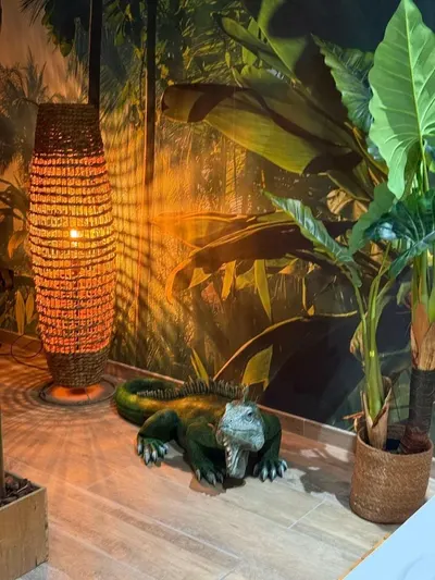 Le Lodge de la Jungle, photo 3