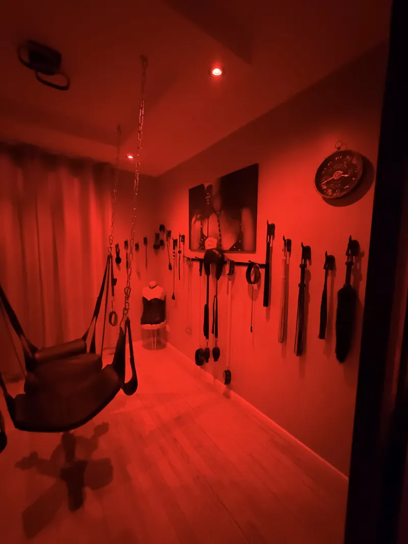 LA MAISON DES PLAISIRS, photo 10