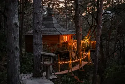 Cabane dans les arbres avec jacuzzi privatif - Aristoloche, photo 5