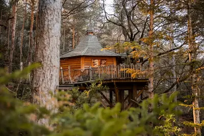 Cabane dans les arbres avec jacuzzi privatif - Aristoloche, photo 3