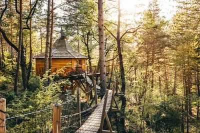 Cabane dans les arbres avec jacuzzi privatif - Aristoloche, love room à Serres