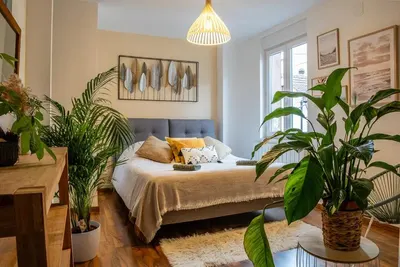 Appartement Standing piscine intérieur privatisée, photo 2