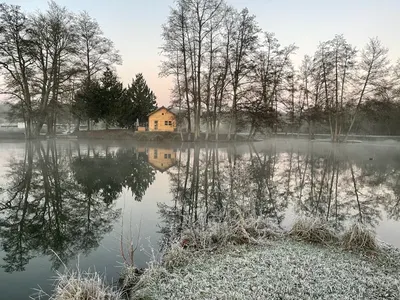 Chalet Spa des Etangs de la Palombière, photo 5