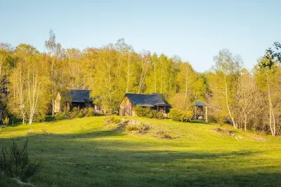 Écrin D'Auvergne - Lodge SPA ESCAPADE, photo 3