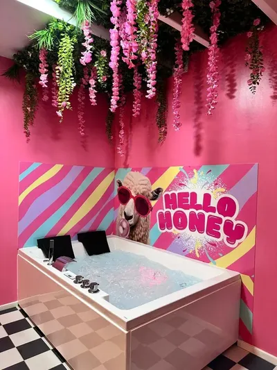 Pink Art, photo 3