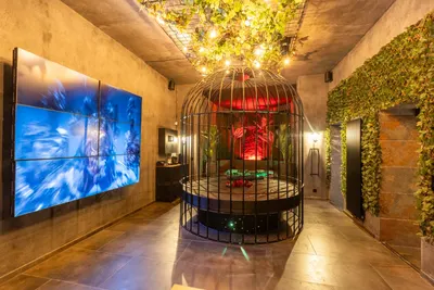 Suite INTENSE | INTENSE Senses Experience, photo 2