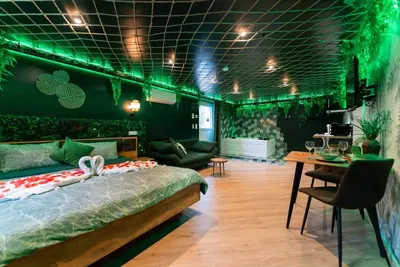 L'Oasis Tropicale - Love Room à thème - Jacuzzi, love room à Roppenheim